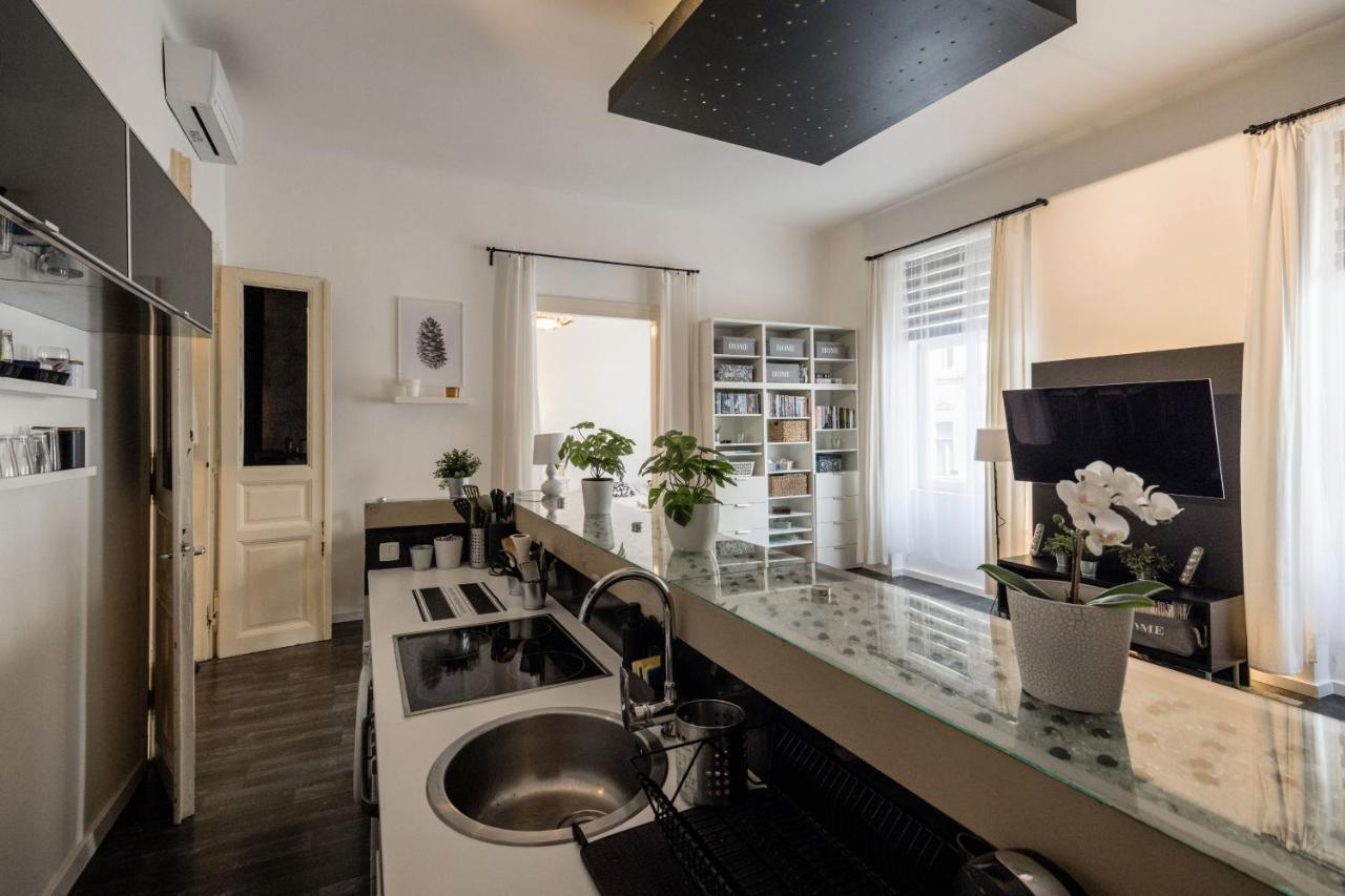 Spacious Apartment Almassy 布达佩斯 外观 照片