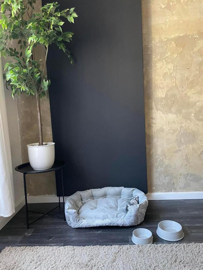 Spacious Apartment Almassy 布达佩斯 外观 照片