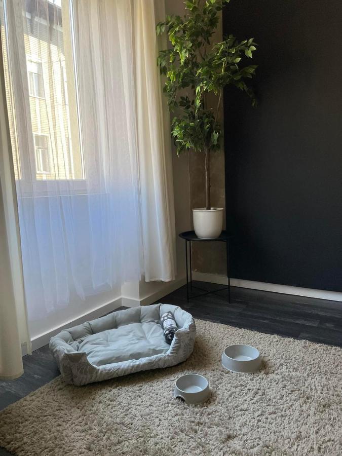 Spacious Apartment Almassy 布达佩斯 外观 照片